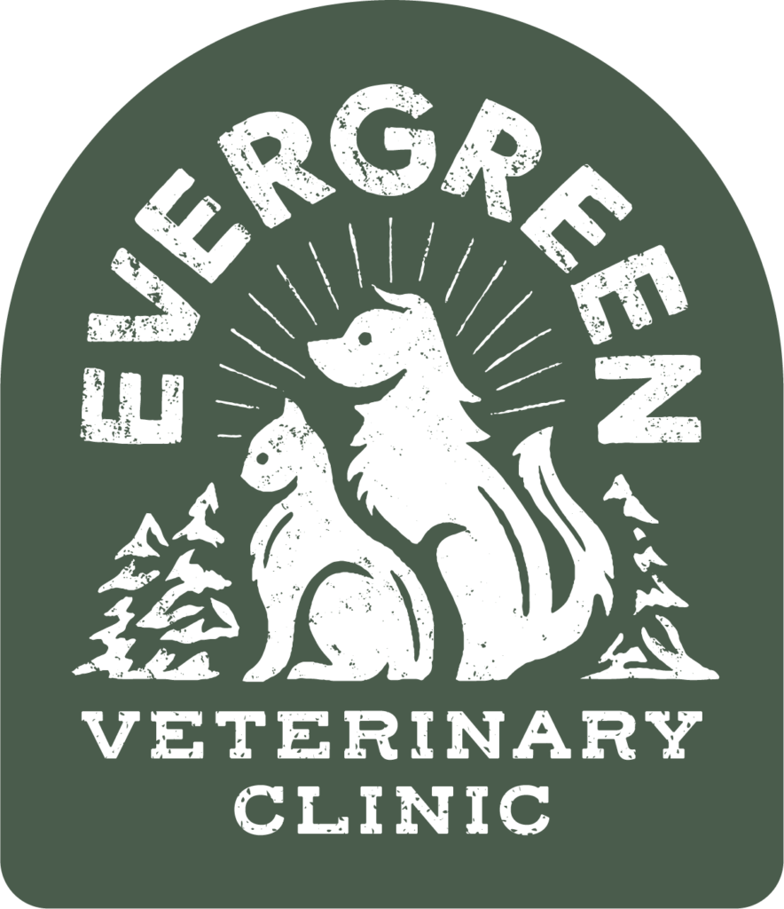 Locations Evergreen Veterinary Clinic Lansing
