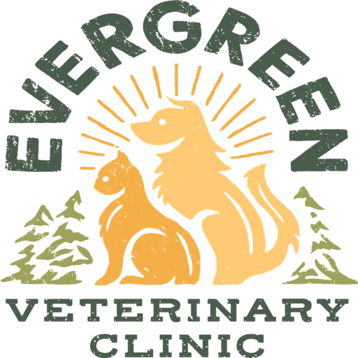 Home - Evergreen Veterinary Clinic Lansing